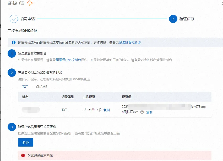 验证解析记录